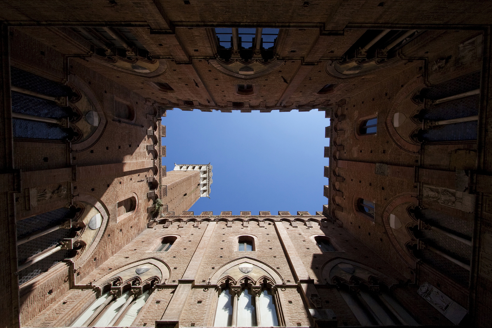 Palio - Gallery Image #245